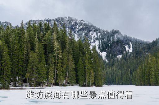 濱海有什么旅游景點好玩，濱海有什么好玩的地方...